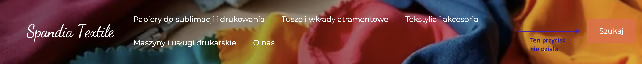 Brak wyszukiwania